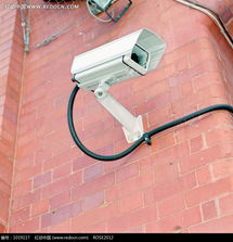 凝视之眼 砖墙上的白色守护者